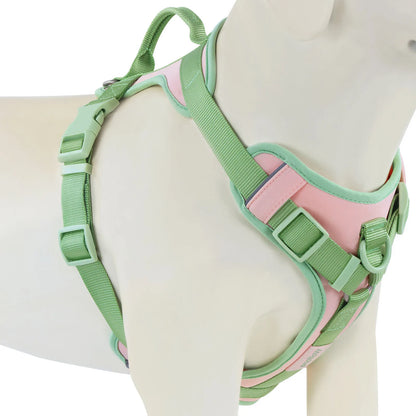 Splicing Colors Breathable For Medium No Pull Dog Harness for large Small dogs Adjustable Chest Strap Dog Harness Personalized