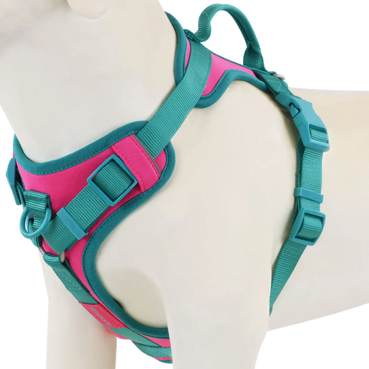 Splicing Colors Breathable For Medium No Pull Dog Harness for large Small dogs Adjustable Chest Strap Dog Harness Personalized